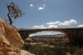 Free Lone Tree And Rock Bridge Stock Image - 5807451