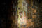 Free Disused Railway Tunnel Wall Stock Photography - 5804752