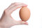 Free Egg In Hand Stock Photos - 5807003