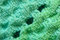 Free Textile Fabric Royalty Free Stock Images - 5807699