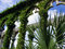 Free Plants And Cloisters Royalty Free Stock Images - 5818669