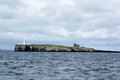 Free Inner Farne Island Stock Photography - 5828522