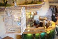 Free Avian Cell Stock Photo - 5830390
