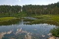 Free Serene View Stock Image - 5830751