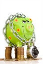 Free Piggy Bank Locked In Chain Stock Photos - 5837113