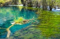 Free Clear Water Stock Images - 5838404