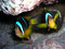 Free Two Small Fishes Royalty Free Stock Photography - 5830477