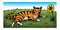 Free Tabby Cat Royalty Free Stock Photography - 5830567
