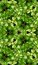 Free Green Leaves Tile Pattern Background 3 Stock Image - 5831221