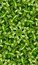 Free Green Leaves Tile Pattern Background 4 Stock Images - 5831234