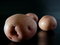 Free Red Potatoes Stock Photos - 5836753