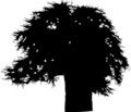 Free Isolated Tree - 38. Silhouette Stock Photography - 5840172