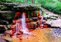 Free The Yellow Spring Royalty Free Stock Photo - 5841075