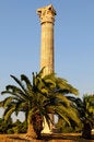 Free Column Stock Photography - 5841842