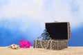 Free Jewelry Box On Beach Royalty Free Stock Image - 5843826
