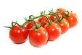 Free Green Branch Fresh Ripe Red Tomato Stock Photos - 5847153