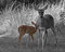 Free It S Not All B&W Stock Images - 5842184