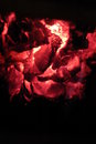 Free Live Coals Royalty Free Stock Photo - 5851245