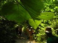 Free Man In A Nature Royalty Free Stock Image - 5854536