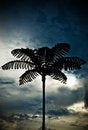Free Beautiful Skies Royalty Free Stock Images - 5858079