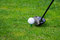 Free Golf Teeing Stock Image - 5852001