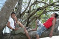 Free Two Man Enjoy On Tree Royalty Free Stock Images - 5861449
