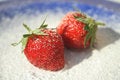 Free Strawberries On A Blue Plate Royalty Free Stock Images - 5865579