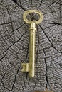 Free Old Key. Stock Image - 5868551