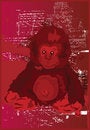 Free Monkey Fever Royalty Free Stock Photography - 5871997