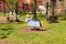 Free Spring Toys Stock Photography - 5880472