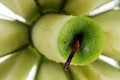 Free Green Apple Stem Royalty Free Stock Image - 5891966
