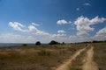 Free Road In The Summer Royalty Free Stock Photography - 5897447