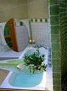 Free Bathroom Stock Image - 5899561