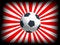 Free Soccer Ball Stock Images - 5891724