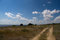 Free Road In The Summer Royalty Free Stock Photography - 5897447