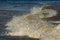 Free Wave Royalty Free Stock Photography - 5897707