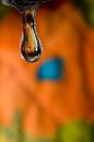 Free Spring Drop Royalty Free Stock Photography - 591667