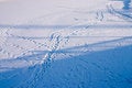 Free Traces And Shadows Stock Image - 598481