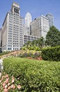 Free Buildings Along Michigan Avenue Royalty Free Stock Photo - 5900415