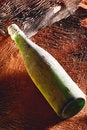 Free Bottle Royalty Free Stock Images - 5903999