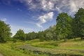 Free Landscape With Overgrown Pond Stock Images - 5904014