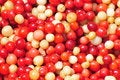 Free Fruit Stock Images - 5906094