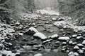 Free Snowy Creek Royalty Free Stock Images - 5908139