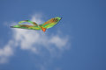 Free Kite In The Sky Royalty Free Stock Photo - 5908925