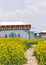 Free Tibet House Royalty Free Stock Photos - 5906038
