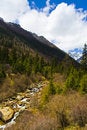 Free Glacier Forest Park Royalty Free Stock Photography - 5925847