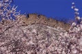 Free The Great Wall Stock Images - 5927424