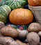 Free Vegetables Stock Photos - 5921803