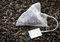 Free Jasmine Pearl Tea Stock Photos - 5922063