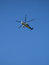 Free Helicopter Flying In The Blue Sky Stock Photos - 5922583